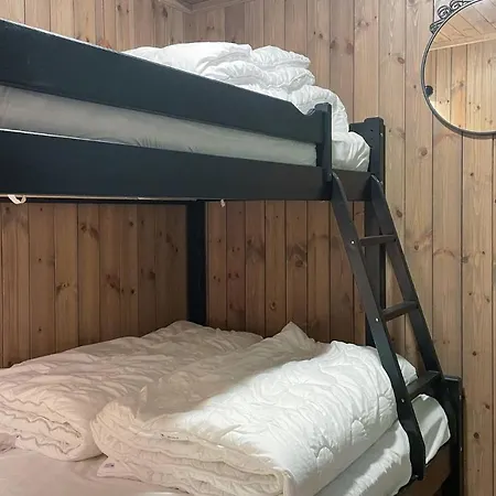 Apartment 3 Bedroom Stunning In Sjusjoen